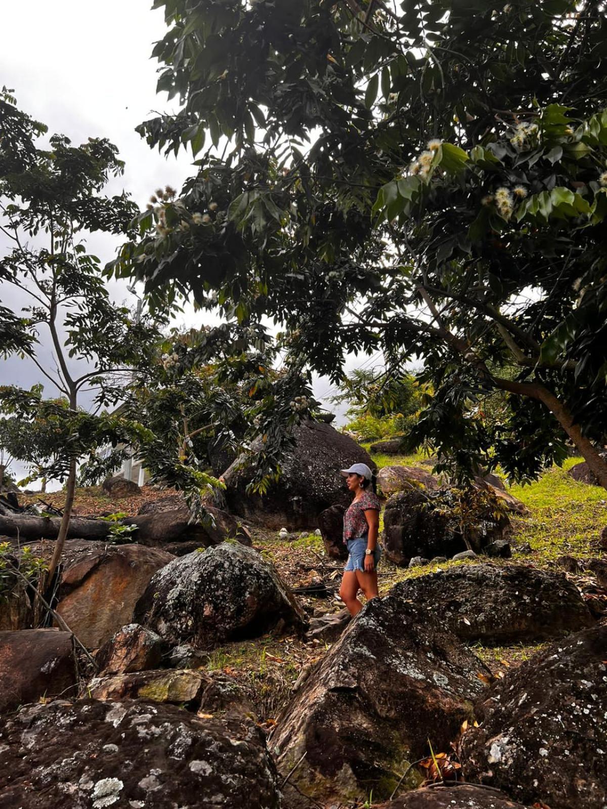 Finca Don Matias Melgar Buitenkant foto
