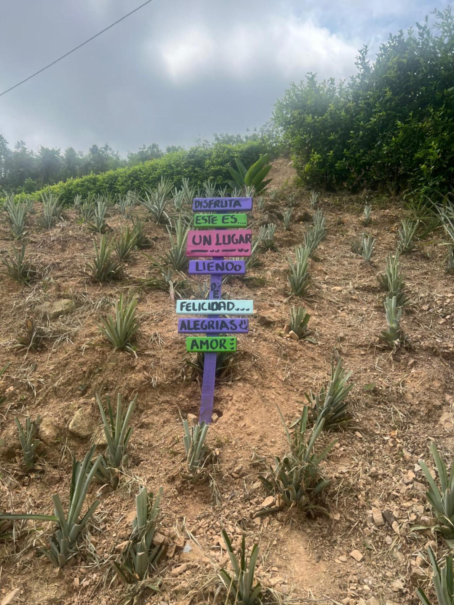 Finca Don Matias Melgar Buitenkant foto